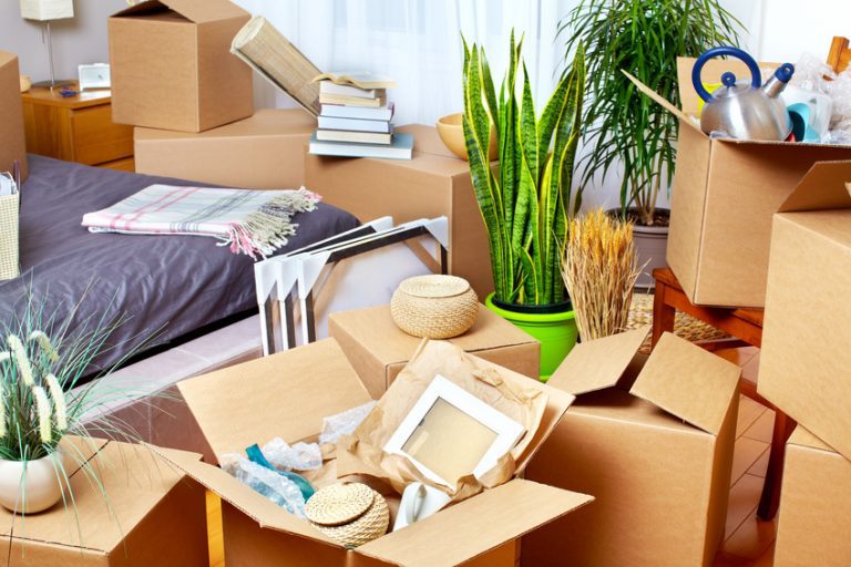 lease-purchase-programs-768×512 (1)